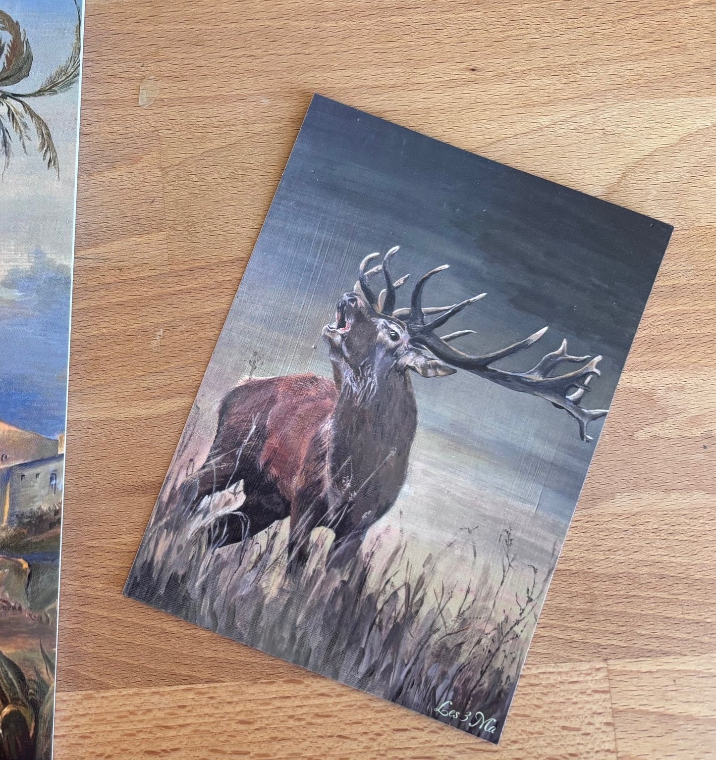 Cartes postales