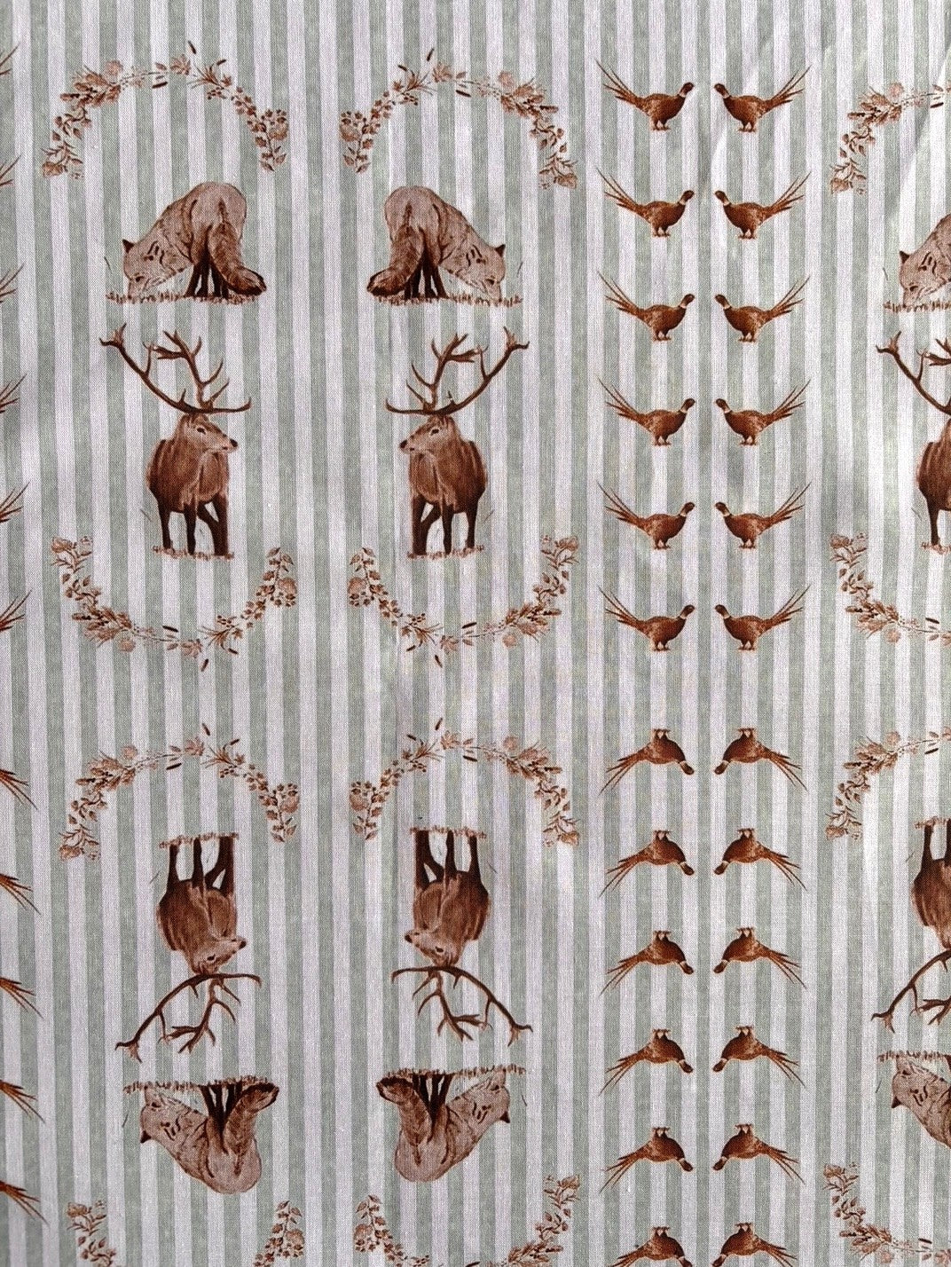 Nappe La Bellifontaine